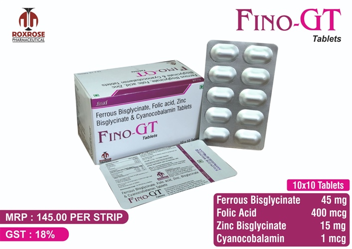 FINO-GT