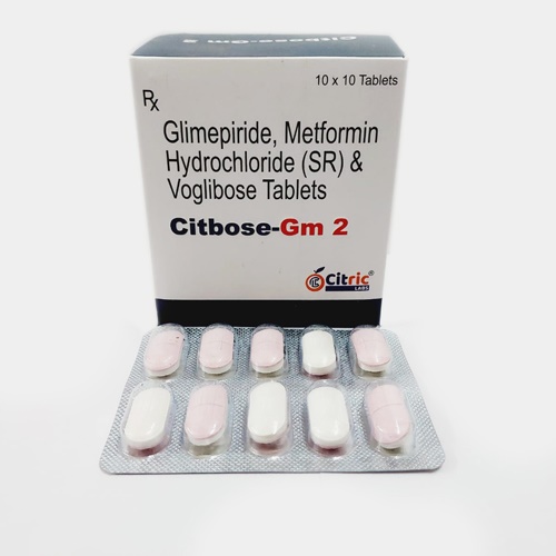 CITBOSE-GM 2