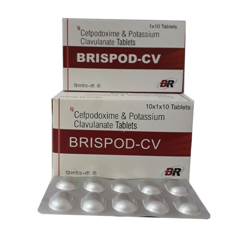BRISPOD - CV