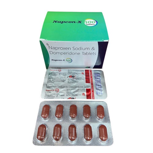 NAPCON X500