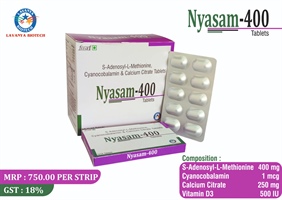 NYASAM-400