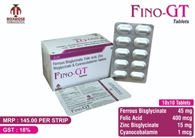 FINO-GT