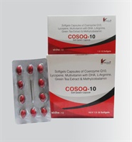 COSOQ-10
