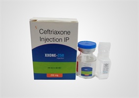 XXONE-250