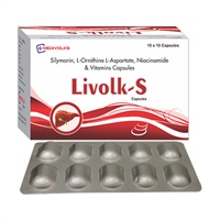 LIVOLK-S