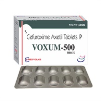 VOXUM-500