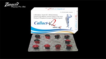 CALLACT-K2