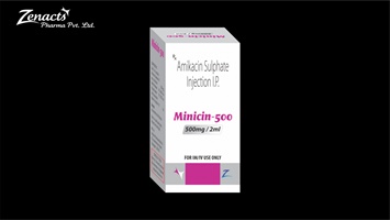 MINICIN 500