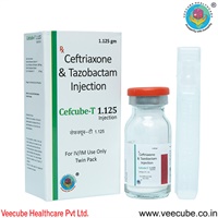 Cefcube-T 1.125