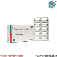 Clincube-300