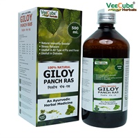 Giloy Panch Ras