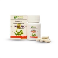 WELLFIX