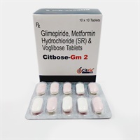 CITBOSE-GM 2