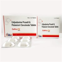 CEFRIC-CV