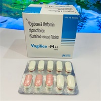 VOGILICE -02
