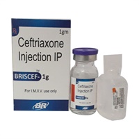 BRISCEF-1GM