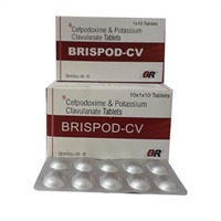 BRISPOD - CV